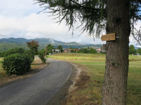 SANACIJA CESTIŠČA V VASI VRH NAD ŽELIMLJAMI  2